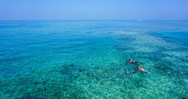 aguadilla snorkeling tour and guide